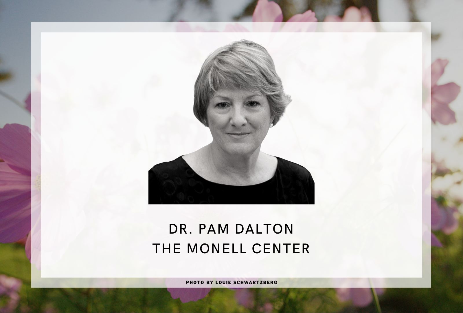 WHAT THE NOSE KNOWS: THE SCIENCE OF SMELL – PAM DALTON/MONELL CENTER