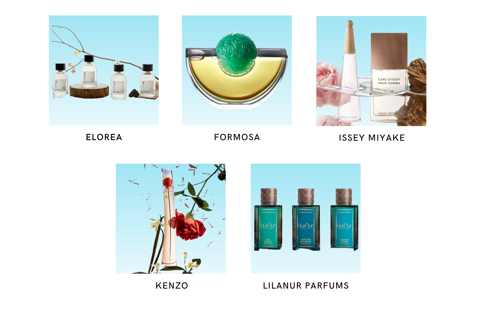 SCENTS AND SENSIBILITY: AAPI BRANDS