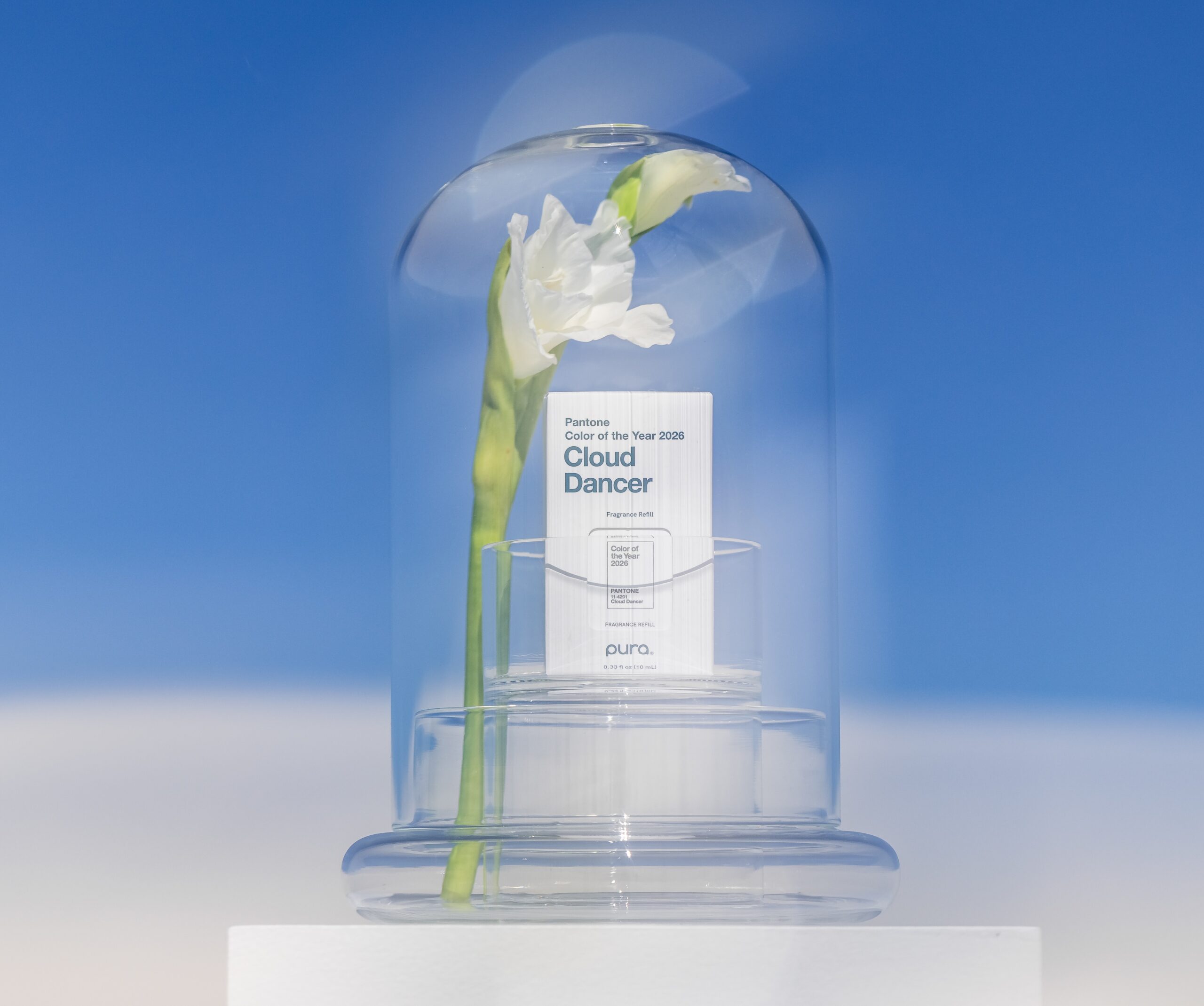 WHAT THE NOSE KNOWS: THE WHITE SPACE TRANSFORMED AND TRANSPORTED